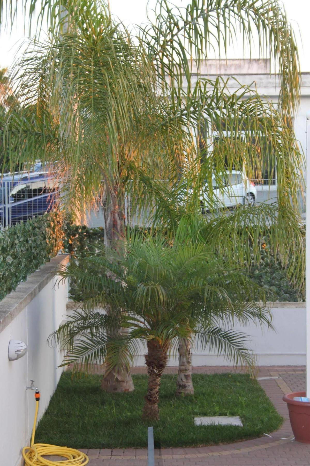 كاربينيانو سالينتينو Kalinifta Residence المظهر الخارجي الصورة